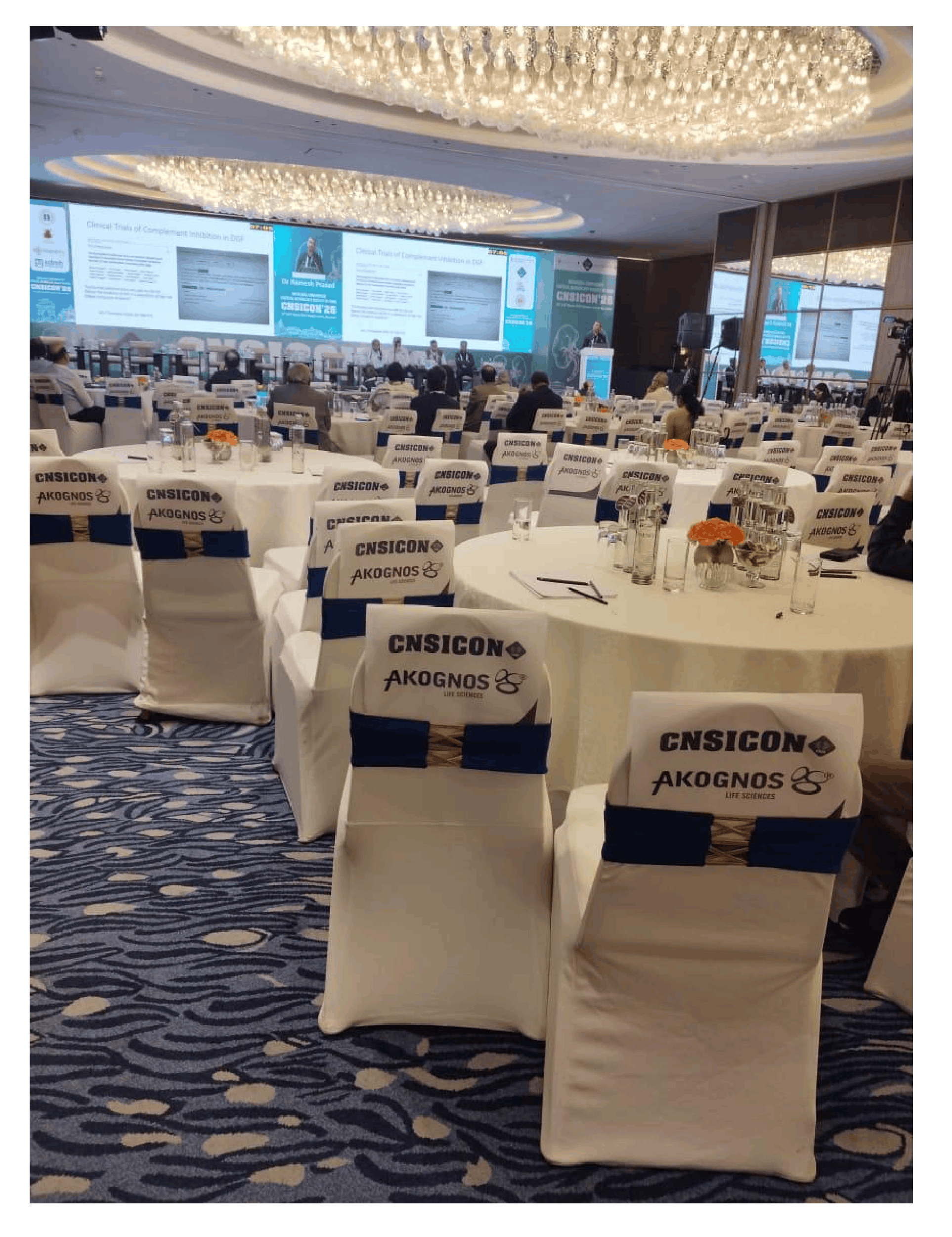 DNS 2019